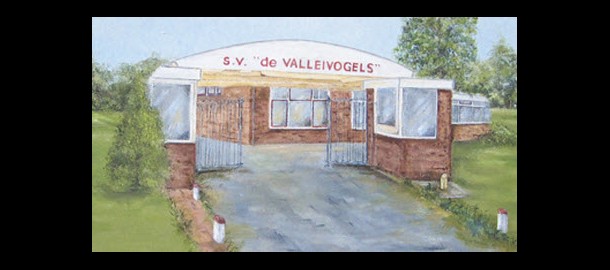 Valleivogels